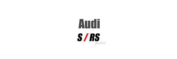 Audi RS3 8V