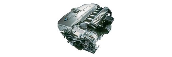 BMW - N52 (6-Zyl. 24V) 2.5-3.0L