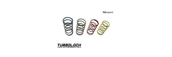 TiAL - Wastegate Springs