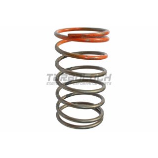 Tial Wastegate Feder Klein / Orange - F38/F40/F41: 3,5Bar - F44/46: 0,25Bar