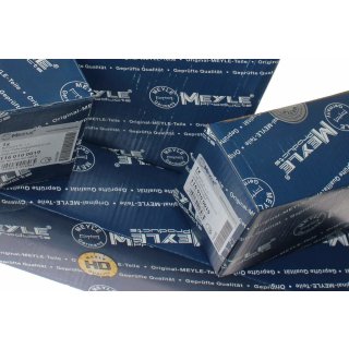 2x Hinterachskörperlager Tonnenlager - Meyle 3003331102 -...